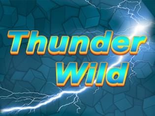 Thunder Wild game icon