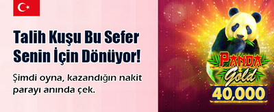Hızlı Giriş ve Güvenli Oyun